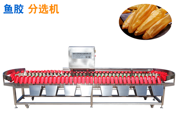 魚膠稱重分選機(jī)花膠重量分選機(jī)魚肚分揀機(jī)魚鰾分級(jí)機(jī)
