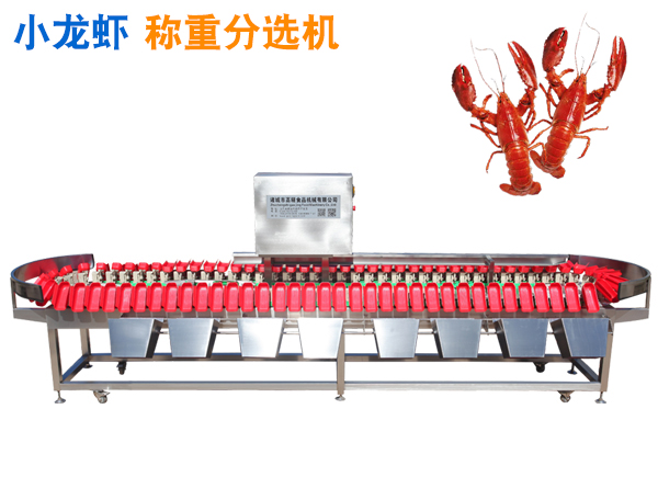 小龍蝦稱重分選機(jī) 小龍蝦重量分選機(jī) 龍蝦分揀機(jī) 龍蝦分級(jí)機(jī) 小龍蝦克選機(jī)